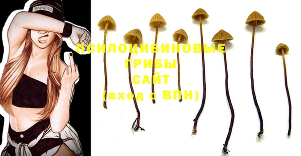 ALPHA-PVP Заводоуковск