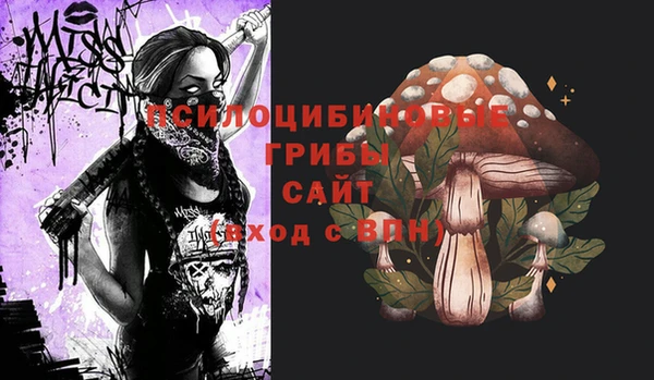 ешки Заволжск