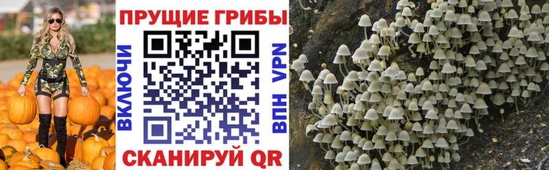 Псилоцибиновые грибы мухоморы  Купить закладки  Лабинск 